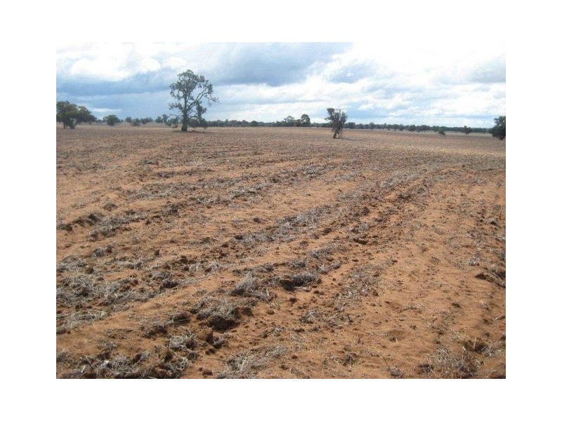 . “Caringal Northside”, Narrandera NSW 2700