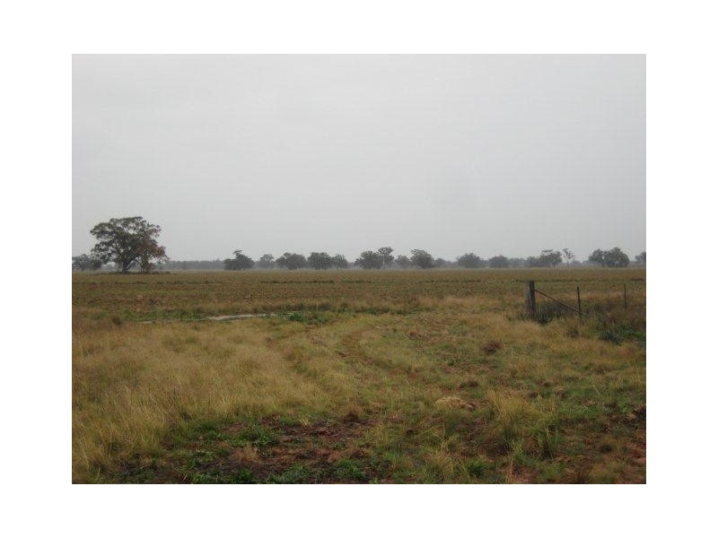 . “Caringal Northside”, Narrandera NSW 2700