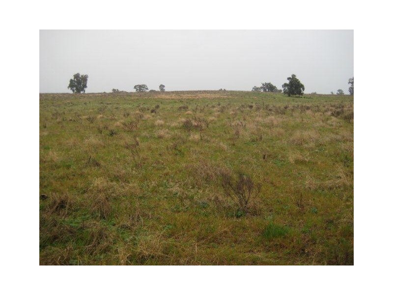 . “Caringal Northside”, Narrandera NSW 2700