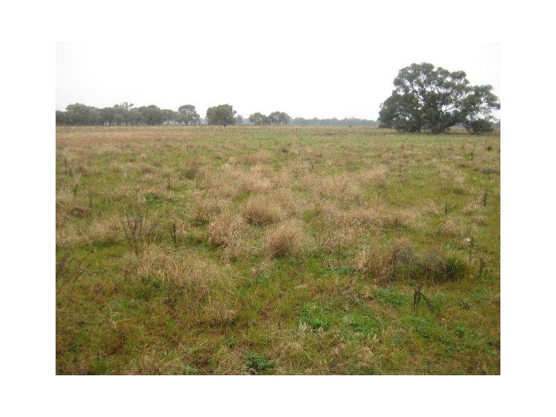 . “Caringal Northside”, Narrandera NSW 2700