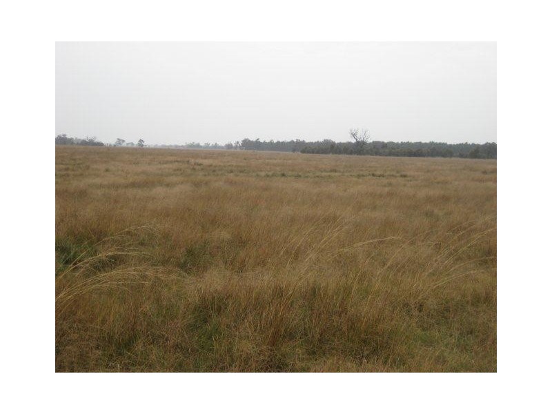 . “Caringal Northside”, Narrandera NSW 2700