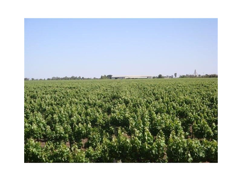 2396 Drew Road, Benerembah NSW 2680