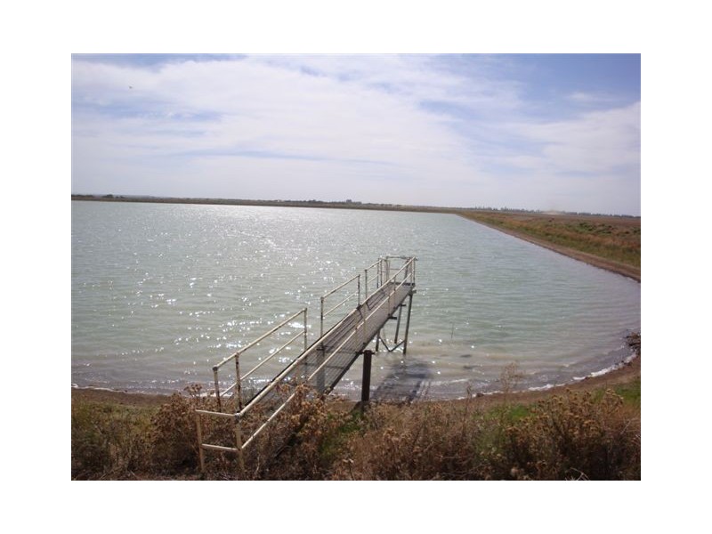 2396 Drew Road, Benerembah NSW 2680