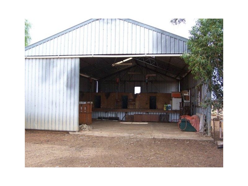 Farm 156 Steel Road, Coleambally NSW 2707