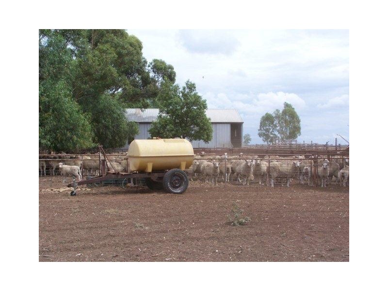 Farm 156 Steel Road, Coleambally NSW 2707