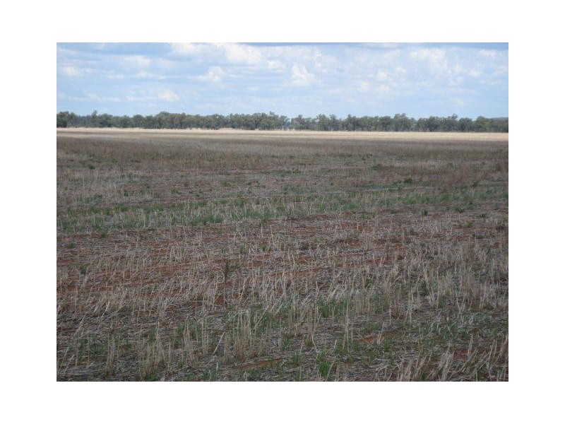 “Kaneira Park” Burley Griffin Way, Binya NSW 2665