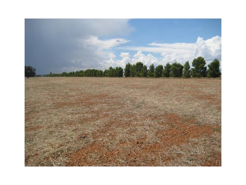 “Kaneira Park” Burley Griffin Way, Binya NSW 2665