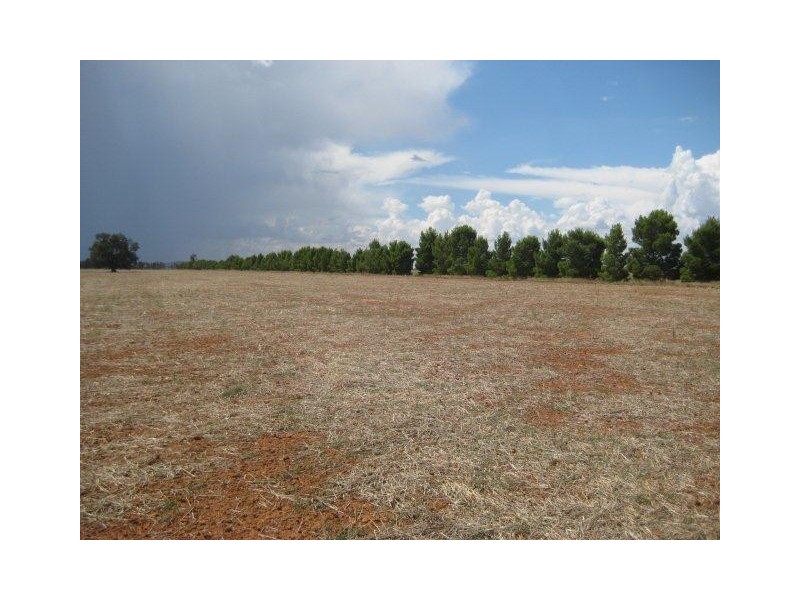 “Kaneira Park” Burley Griffin Way, Binya NSW 2665