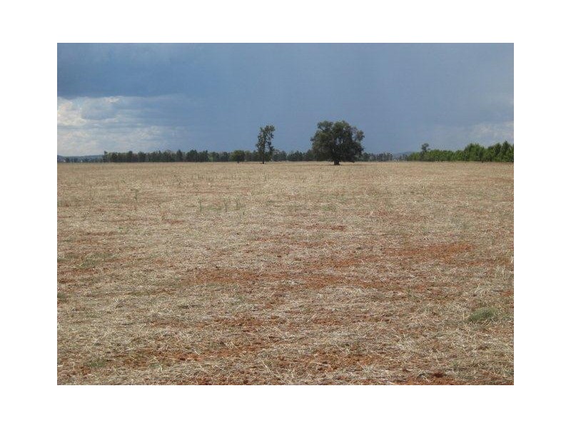 “Kaneira Park” Burley Griffin Way, Binya NSW 2665