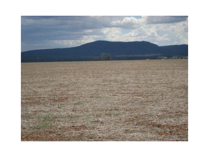 “Kaneira Park” Burley Griffin Way, Binya NSW 2665