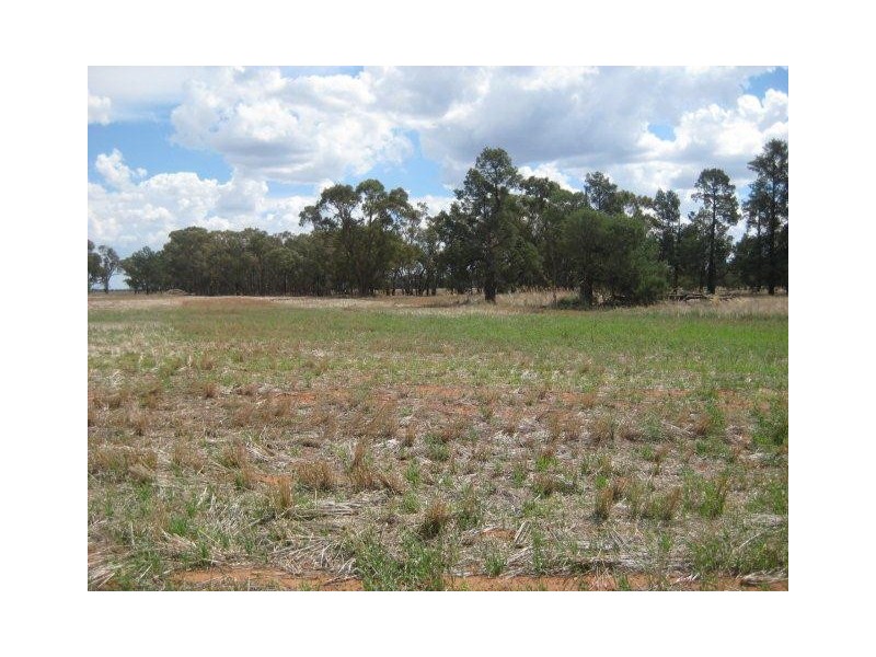 “Kaneira Park” Burley Griffin Way, Binya NSW 2665