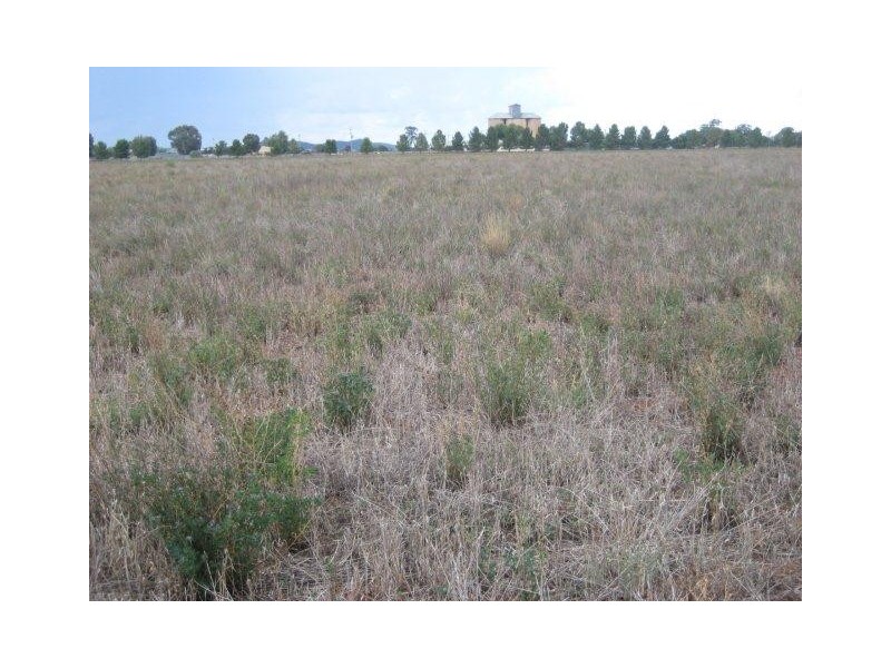 “Kaneira Park” Burley Griffin Way, Binya NSW 2665