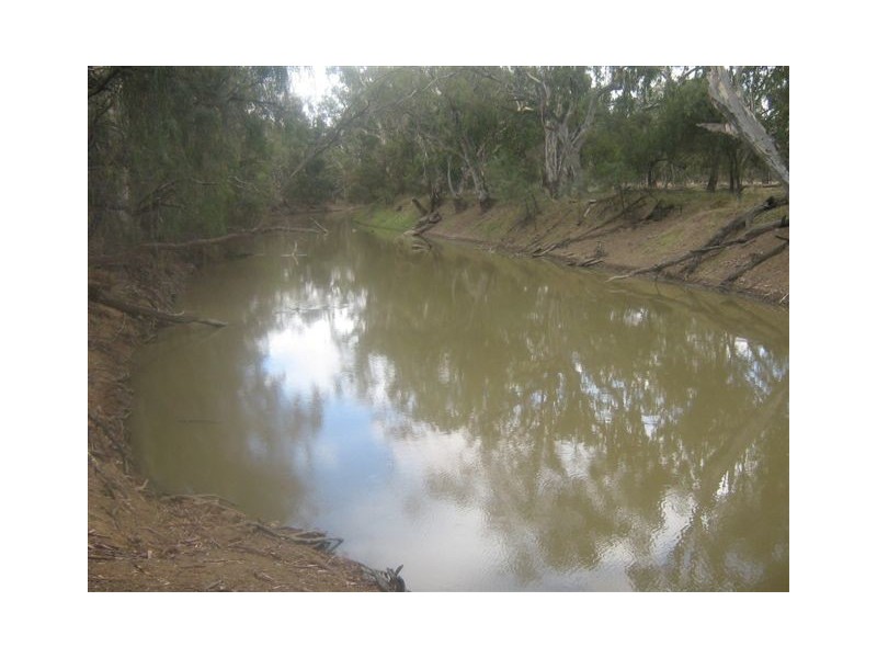 . “Gum Creek”, Lake Cargelligo NSW 2672
