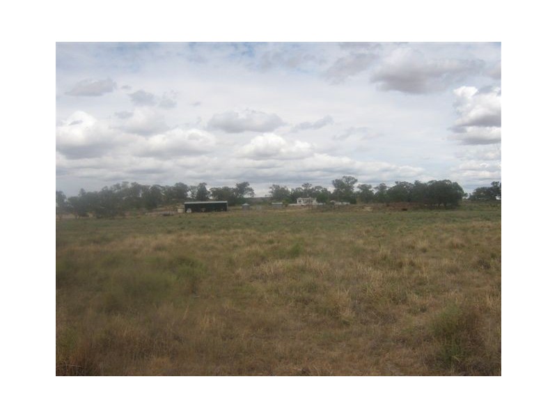 . “Gum Creek”, Lake Cargelligo NSW 2672