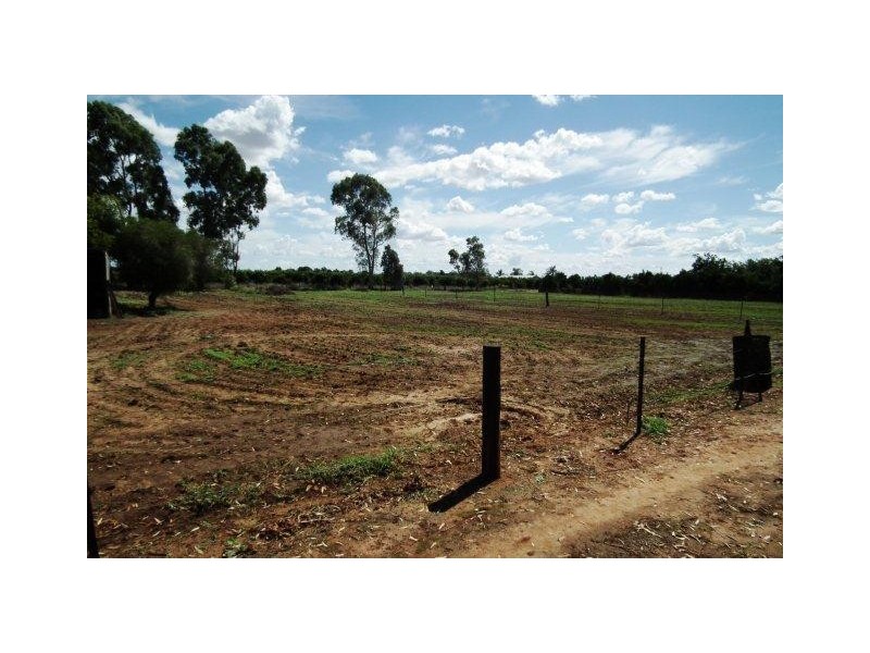 1197 Collins Road, Griffith NSW 2680