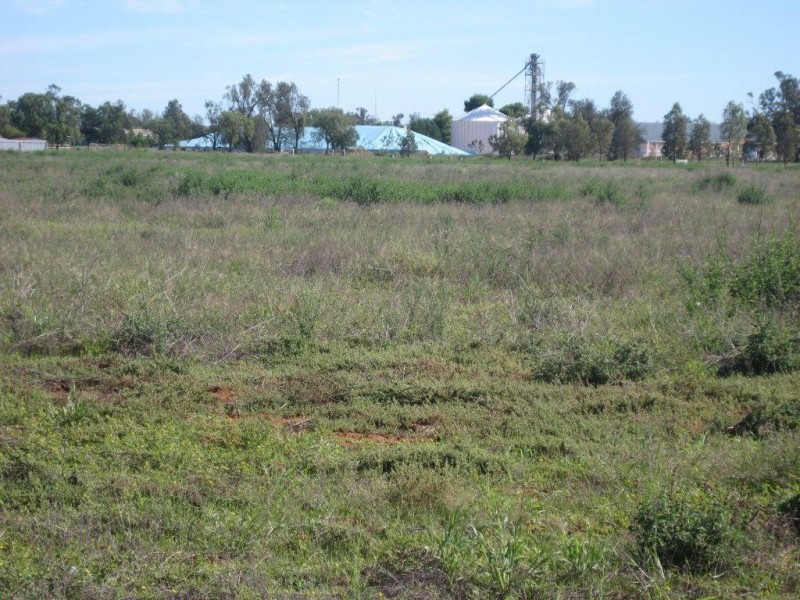 Lot 66 Saleyard Road, Goolgowi NSW 2652
