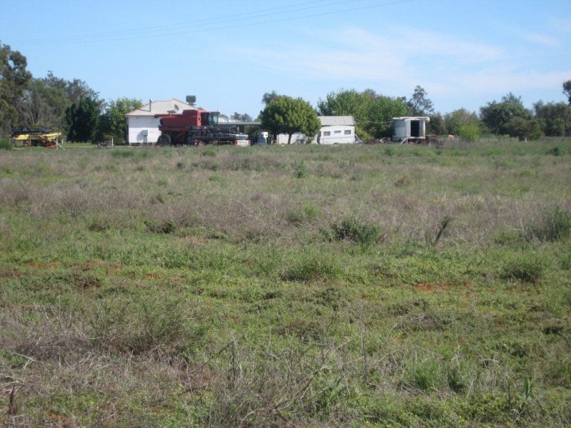 Lot 66 Saleyard Road, Goolgowi NSW 2652