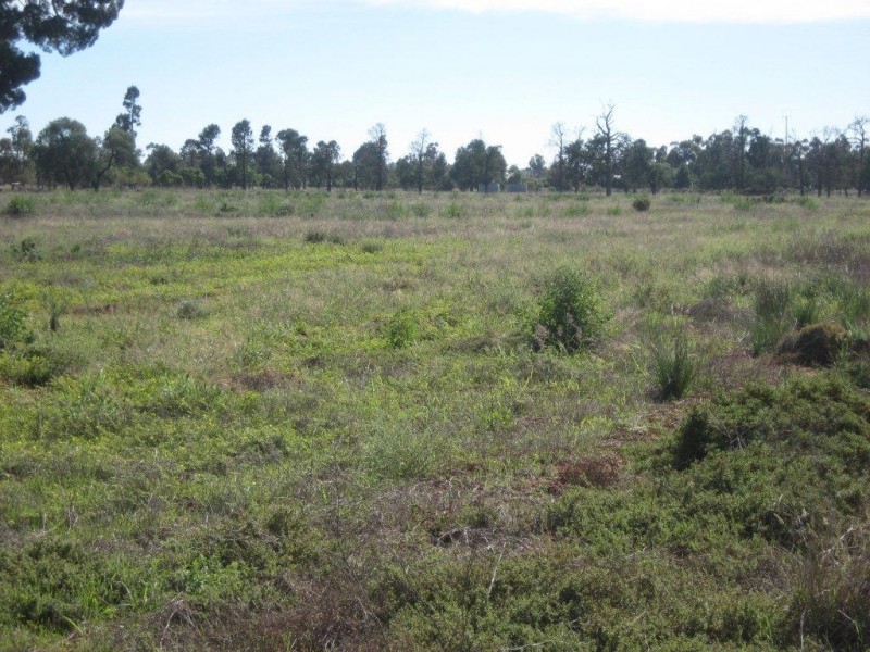 Lot 66 Saleyard Road, Goolgowi NSW 2652