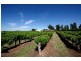 611A Bilbul Road, Beelbangera NSW 2680