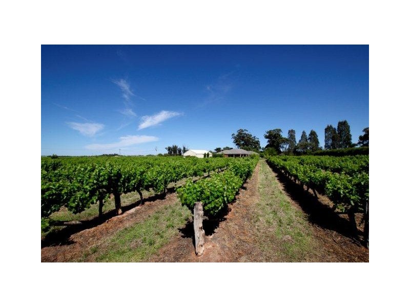 611A Bilbul Road, Beelbangera NSW 2680