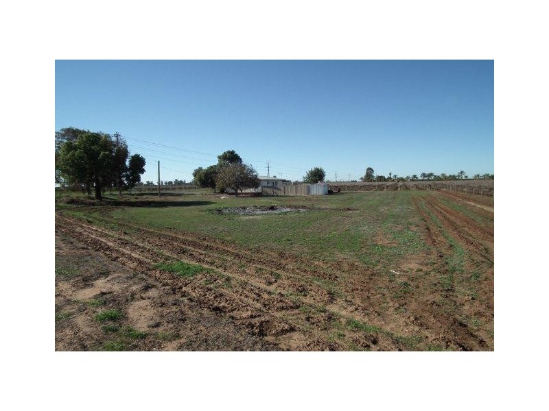 452 Centofanti Road, Yoogali NSW 2680