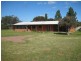 Farm 1118 and Farm 1119, Murrami NSW 2705