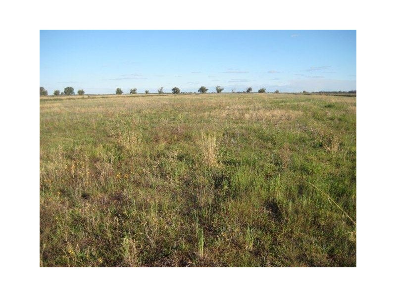 Farm 1118 and Farm 1119, Murrami NSW 2705