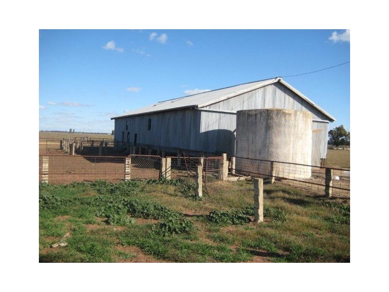 Farm 1118 and Farm 1119, Murrami NSW 2705
