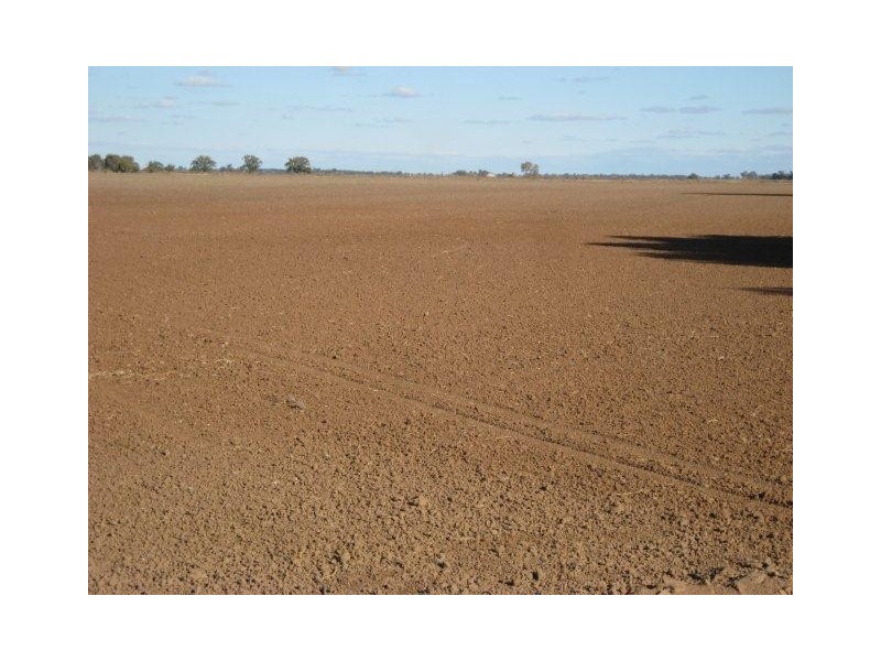 Farm 1118 and Farm 1119, Murrami NSW 2705