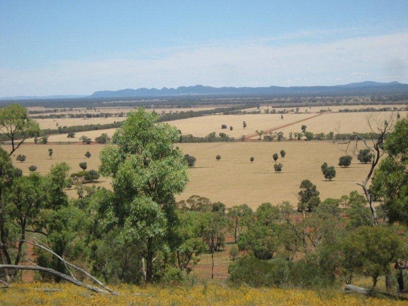Valroona Wallanthery, Hillston NSW 2675
