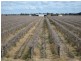 Farms 2715 and 2716, Yenda NSW 2681