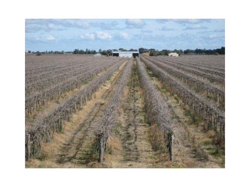 Farms 2715 and 2716, Yenda NSW 2681