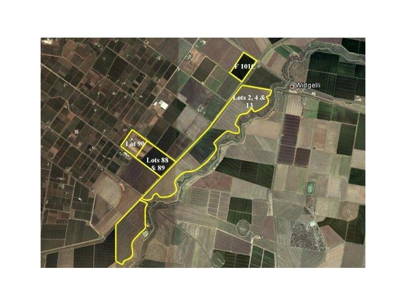 Farms 52 and 101C, Yoogali NSW 2680