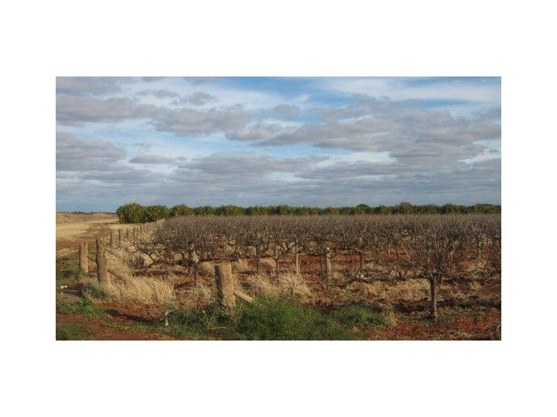 . “Westbank”, Hillston NSW 2675