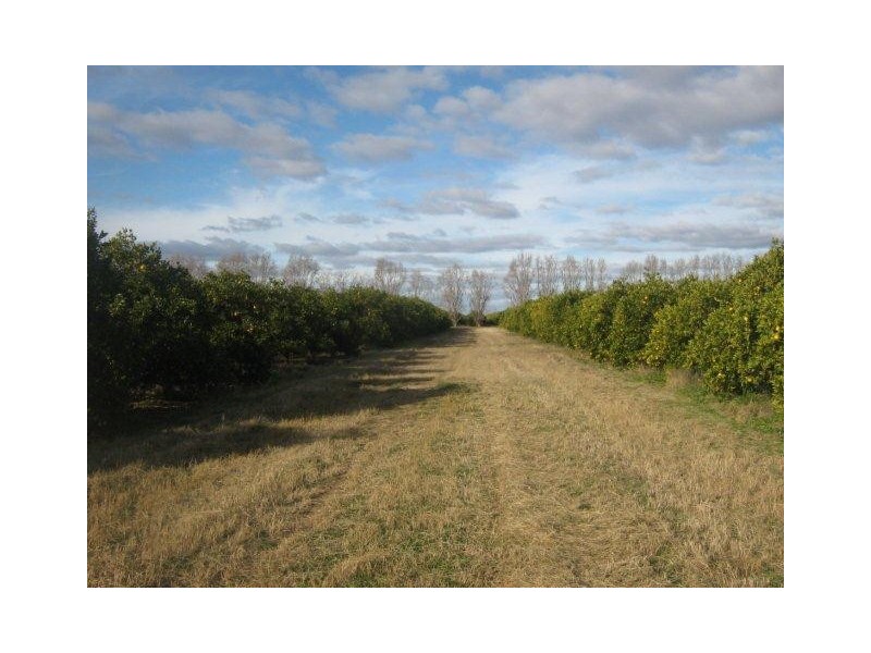 . “Westbank”, Hillston NSW 2675