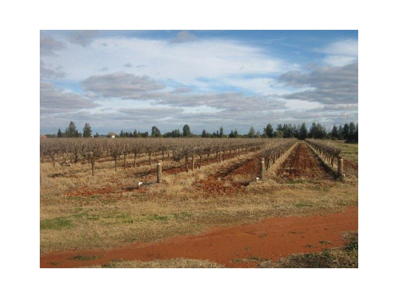 . “Westbank”, Hillston NSW 2675