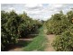 Farm 2678 Evans Road, Bilbul NSW 2680