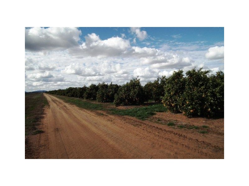 Farm 2678 Evans Road, Bilbul NSW 2680