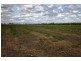 Farm 2678 Evans Road, Bilbul NSW 2680