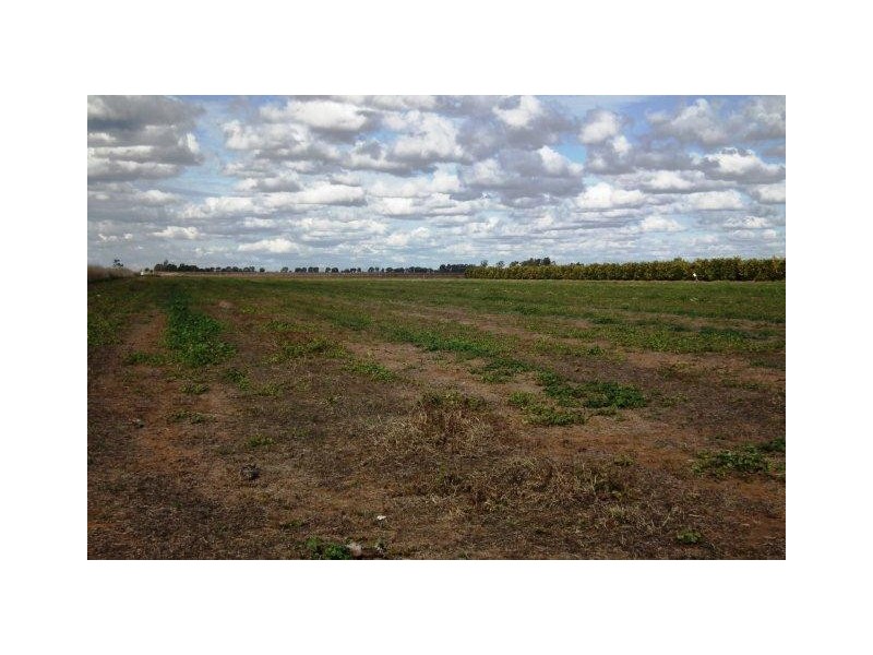 Farm 2678 Evans Road, Bilbul NSW 2680