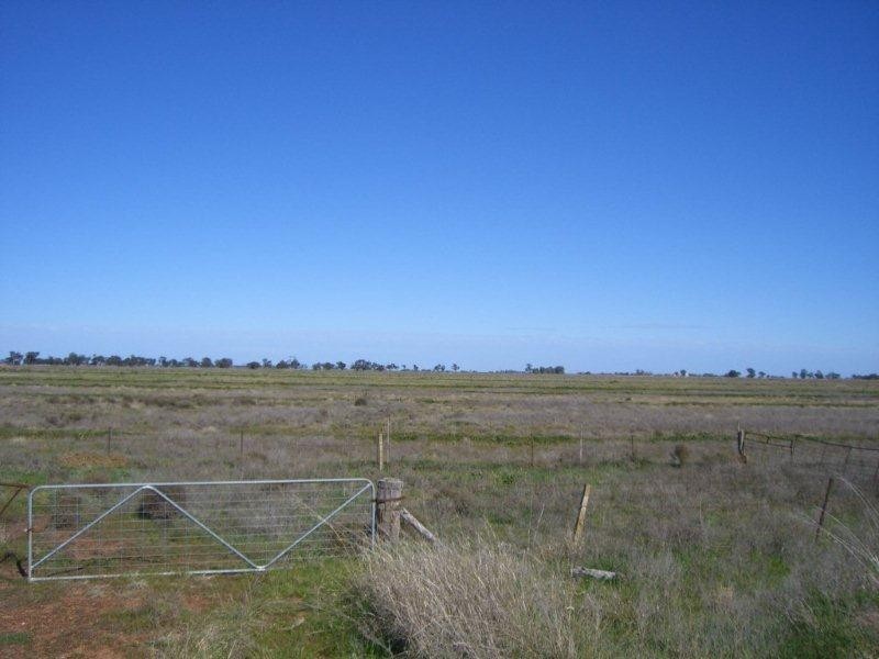 107 and 108 Hulong Road, Whitton NSW 2705