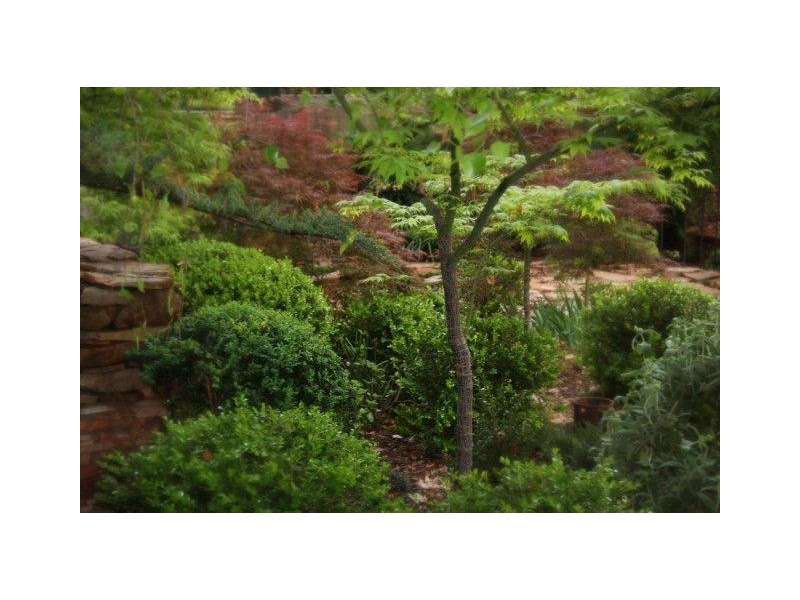 41 Langley Crescent, Griffith NSW 2680