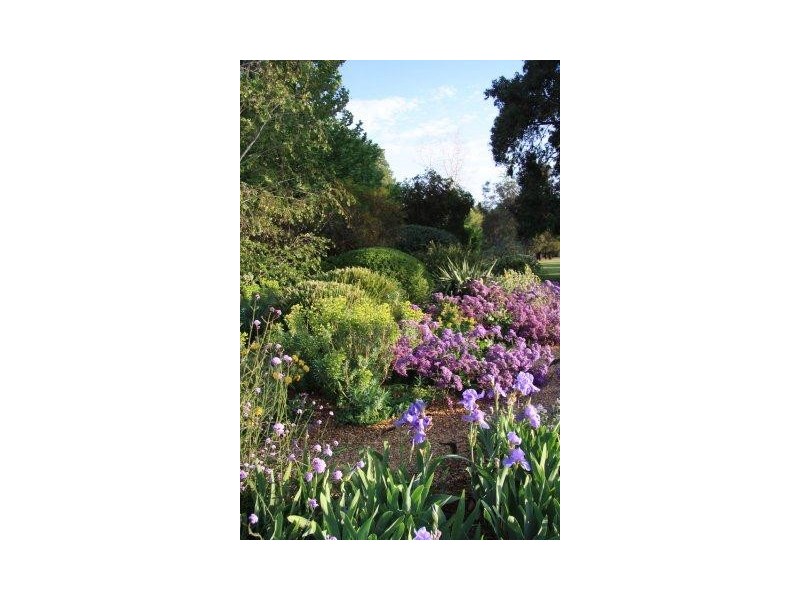 41 Langley Crescent, Griffith NSW 2680