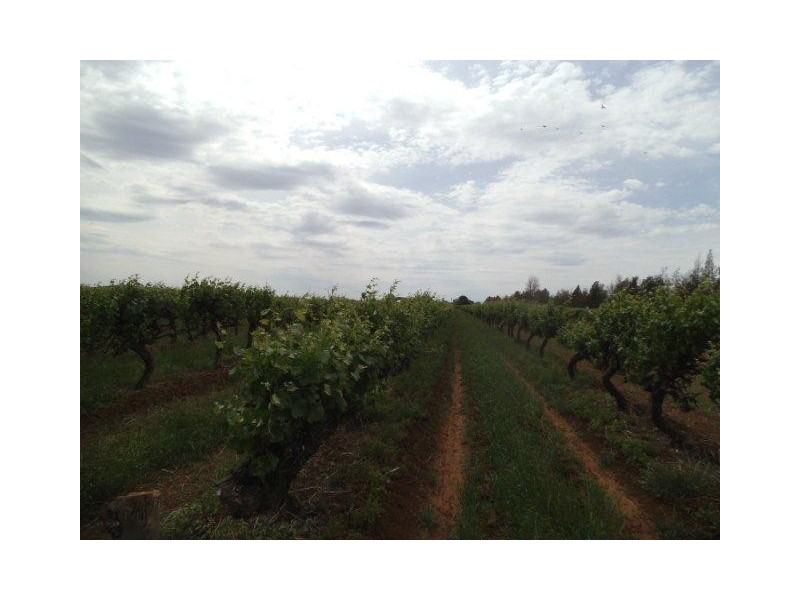 Farm 2617 Carver Road, Yenda NSW 2681