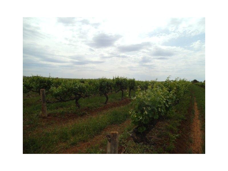 Farm 2617 Carver Road, Yenda NSW 2681