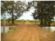Farm 1348A and 1348B Gribble Road, Yenda NSW 2681