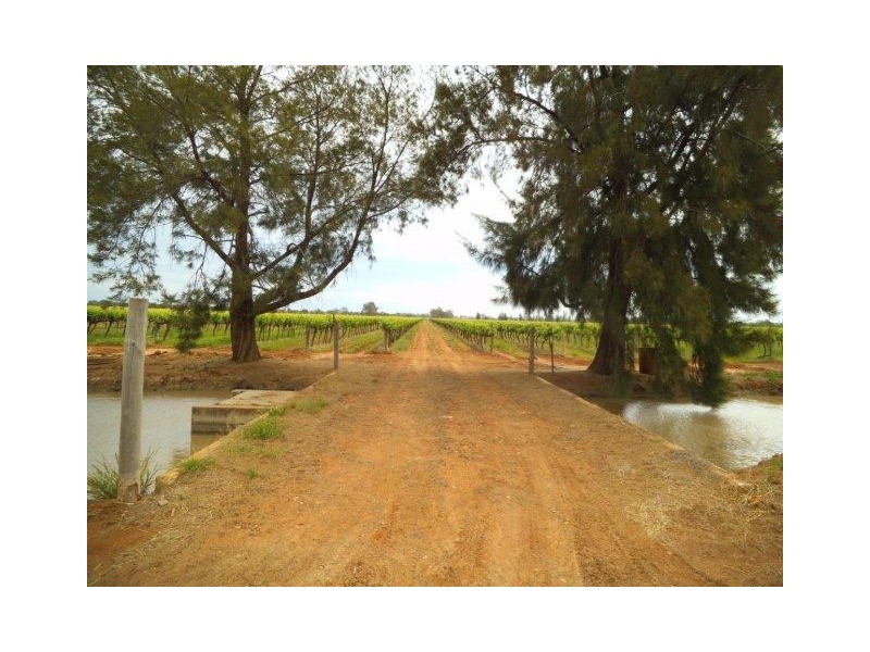 Farm 1348A and 1348B Gribble Road, Yenda NSW 2681