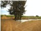 Farm 1348A and 1348B Gribble Road, Yenda NSW 2681