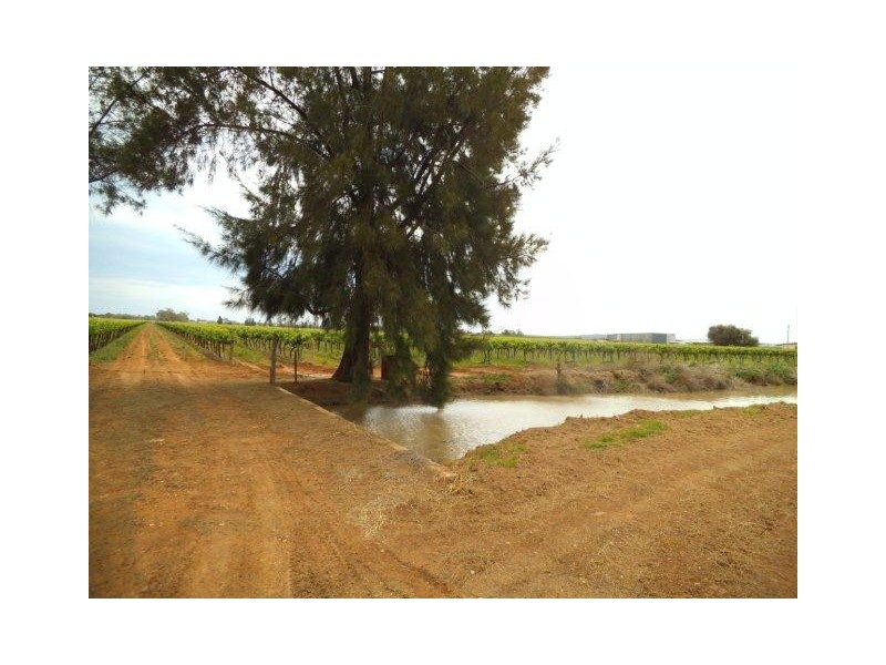 Farm 1348A and 1348B Gribble Road, Yenda NSW 2681