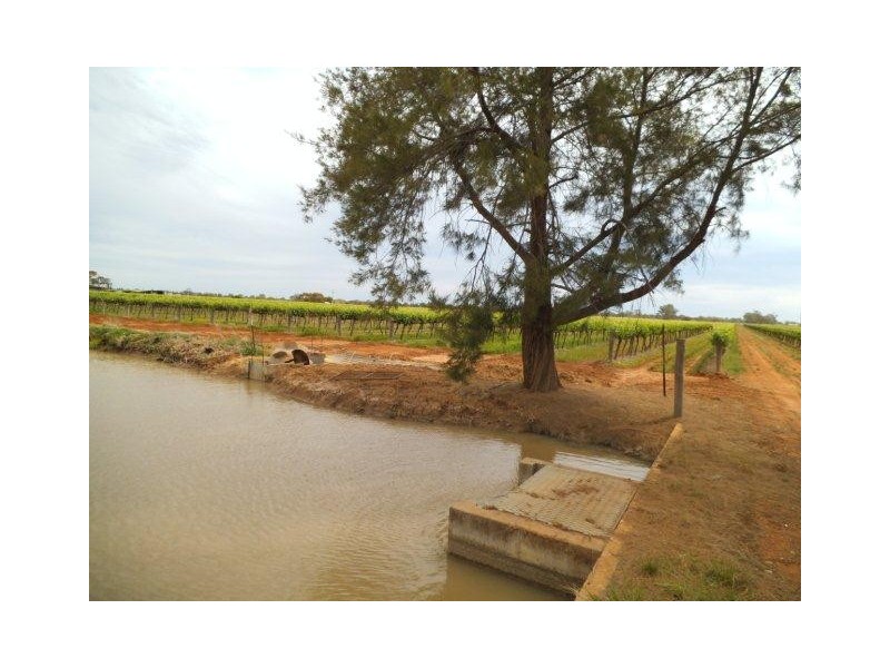 Farm 1348A and 1348B Gribble Road, Yenda NSW 2681